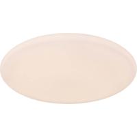 Потолочный светодиодный светильник Globo Rena 48383-50RGBSH