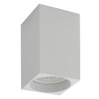 Потолочный светильник Denkirs DK2009-WH