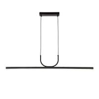 Подвесная светодиодная люстра Favourite Raya 4096-2P