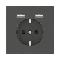 Розетка компьютерная USBx2 Schneider Electric Merten D-Life MTN2366-6034