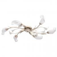 Потолочная люстра MW-Light Восторг 242016906