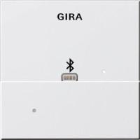 Лицевая панель Apple Lightning Gira System 55 для вставки док-станции чисто-белый глянцевый 228703