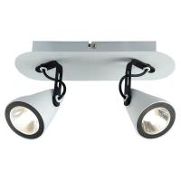 Спот Lussole Loft LSN-4101-02 Спот Lussole Loft LSN-4101-02