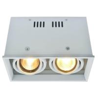 Потолочный светильник Arte Lamp Cardani A5942PL-2WH Потолочный светильник Arte Lamp Cardani A5942PL-2WH