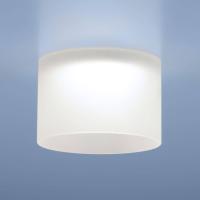 Встраиваемый светильник Elektrostandard 2052 MR16 MT матовый a043143