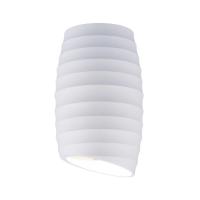 Потолочный светильник Elektrostandard DLN105 GU10 белый a047726