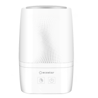 ECOSTAR ESH-EN250/2,0E-WT