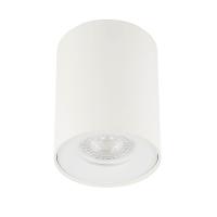 Потолочный светильник ЭРА OL1 GU10 WH Б0041503