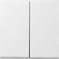 Лицевая панель Gira System 55 выключателя двухклавишного чисто-белый глянцевый 029503