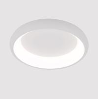 Потолочный светодиодный светильник Arte Lamp Menkib A2694PL-45WH