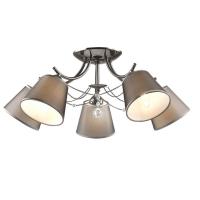 Потолочная люстра Lumion Porta 2974/5C