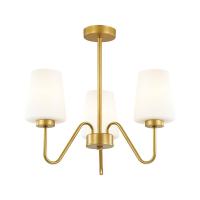 Подвесная люстра Lumion Olivia 3791/3C