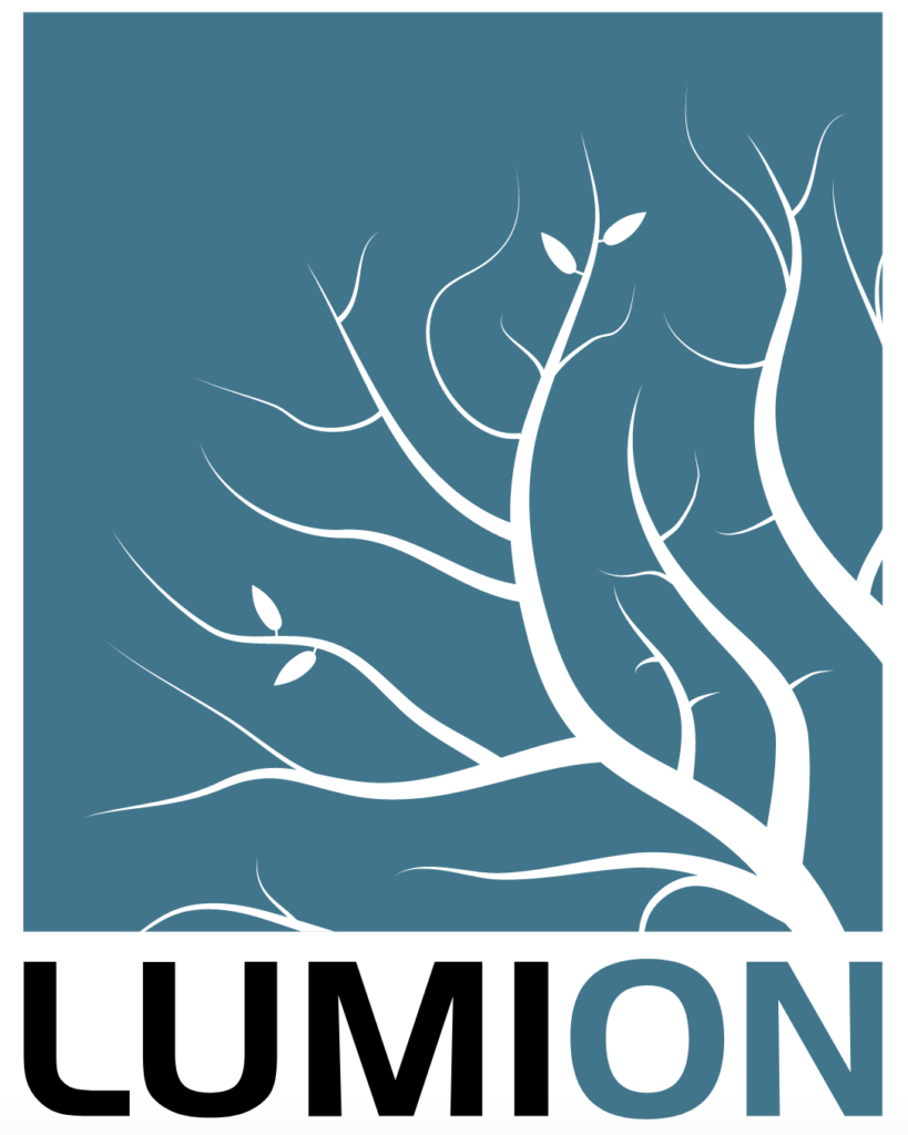Lumion