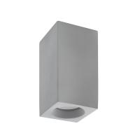 Потолочный светильник Denkirs DK5002-CE