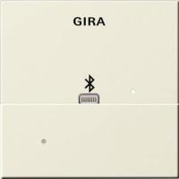 Лицевая панель Apple Lightning Gira System 55 для вставки док-станции кремовый глянцевый 228701