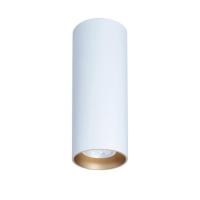 Потолочный светильник TopDecor Tubo8 P2 10 G Потолочный светильник TopDecor Tubo8 P2 10 G