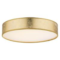 Потолочный светодиодный светильник Globo Amy 15187D1