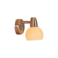 Спот Citilux Бонго CL516513 Спот Citilux Бонго CL516513