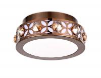 Потолочный светодиодный светильник Ambrella light Ice FA9422