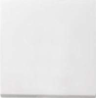 Лицевая панель Gira System 55 выключателя одноклавишного чисто-белый шелковисто-матовый 029627