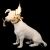 Настольная лампа Loft IT Dog 10312 White Настольная лампа Loft IT Dog 10312 White