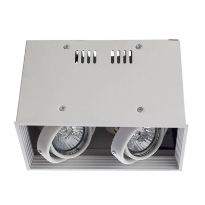 Потолочный светильник Arte Lamp Cardani A5942PL-2WH Потолочный светильник Arte Lamp Cardani A5942PL-2WH