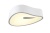 Потолочный светодиодный светильник Omnilux OML-45507-25