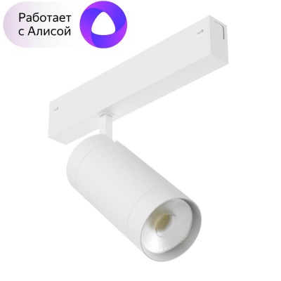 Трековый светильник Denkirs Smart Spot DK8020-WH