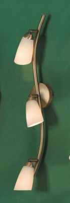 Спот Citilux Белла CL501533