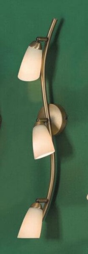 Спот Citilux Белла CL501533