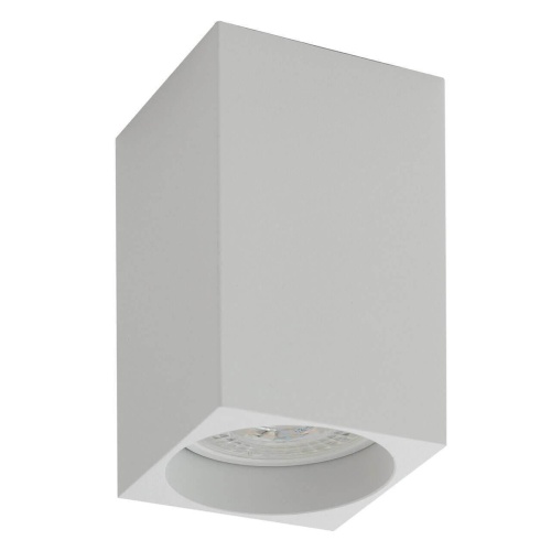 Потолочный светильник Denkirs DK2009-WH