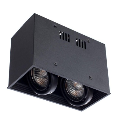 Потолочный светильник Arte Lamp Cardani A5942PL-2BK Потолочный светильник Arte Lamp Cardani A5942PL-2BK