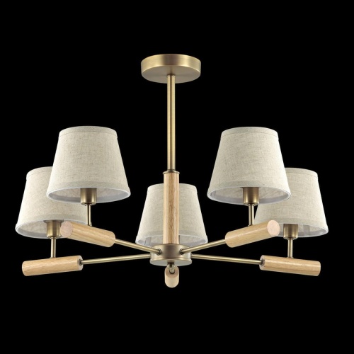 Потолочная люстра Lumion Robin 3703/5C