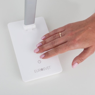 Настольная лампа Elektrostandard 80423/1 серебристый 4690389142222