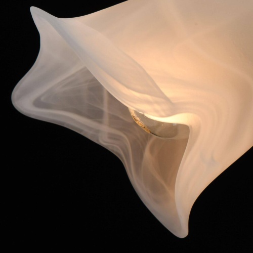 Потолочная люстра MW-Light Восторг 242017508