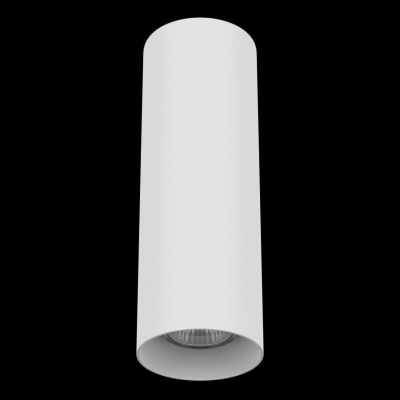 Потолочный светильник Lightstar Rullo 216496