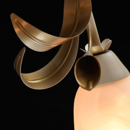 Потолочная люстра MW-Light Восторг 242017508