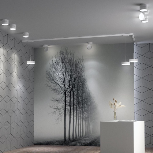 Трековый трехфазный светодиодный светильник Novotech Port Prometa 358770