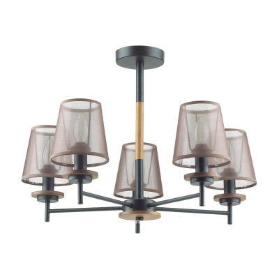 Потолочная люстра Lumion County Betsy 4498/5C