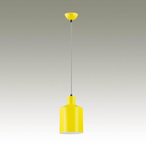 Подвесной светильник Lumion Rigby 3660/1