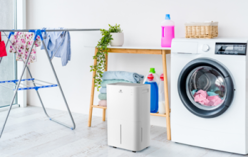 Осушитель воздуха ROYAL CLIMA серии PACIFIC LOFT RD-PC25-E