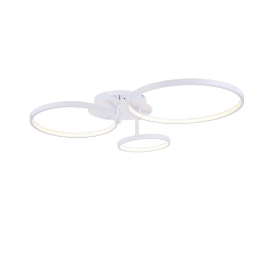 Потолочный светодиодный светильник ST Luce Erto SL904.112.03