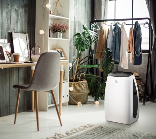 Кондиционер мобильный Electrolux Art Style EACM-13 HR/N3 Кондиционер мобильный Electrolux Art Style EACM-13 HR/N3