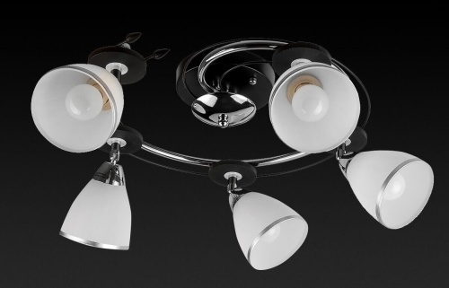 Спот Toplight Sara TL2730X-05BC