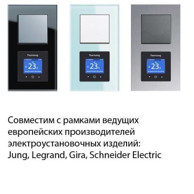 Thermoreg TI-970 Silver