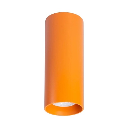 Потолочный светильник TopDecor Tubo8 P2 17 Потолочный светильник TopDecor Tubo8 P2 17