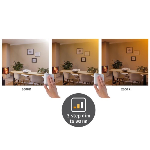 Потолочный светодиодный светильник Paulmann Carpo 79795