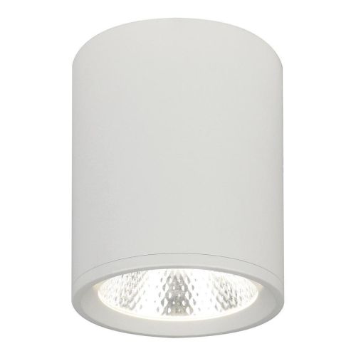 Потолочный светодиодный светильник Escada 20003SMU/02LED SWH