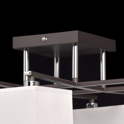 Потолочная люстра MW-Light Прато 3 101011308