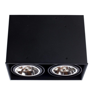 Потолочный светильник Arte Lamp Cardani A5936PL-2BK Потолочный светильник Arte Lamp Cardani A5936PL-2BK